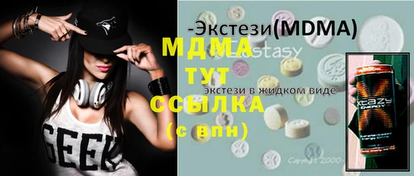 дживик Няндома