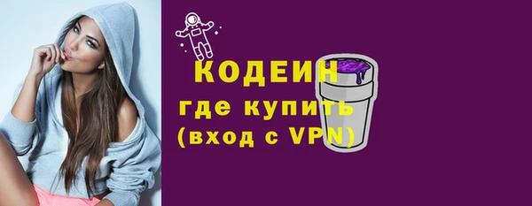 дживик Няндома